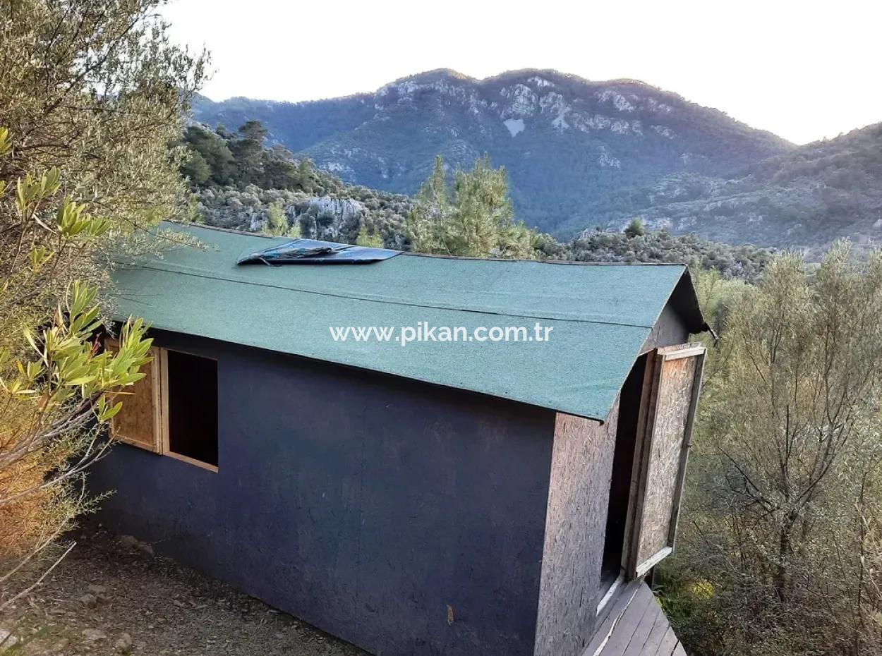 Mugla Dalyan Gokbel 1700 M2 Detached Land And Bungalow With Nature View