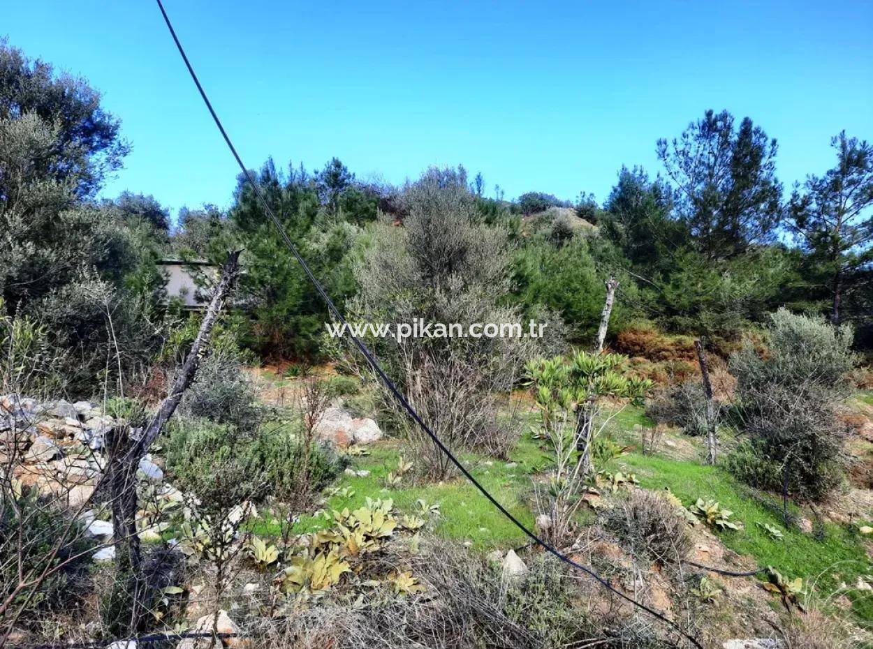 Mugla Dalyan Gokbel 1700 M2 Detached Land And Bungalow With Nature View