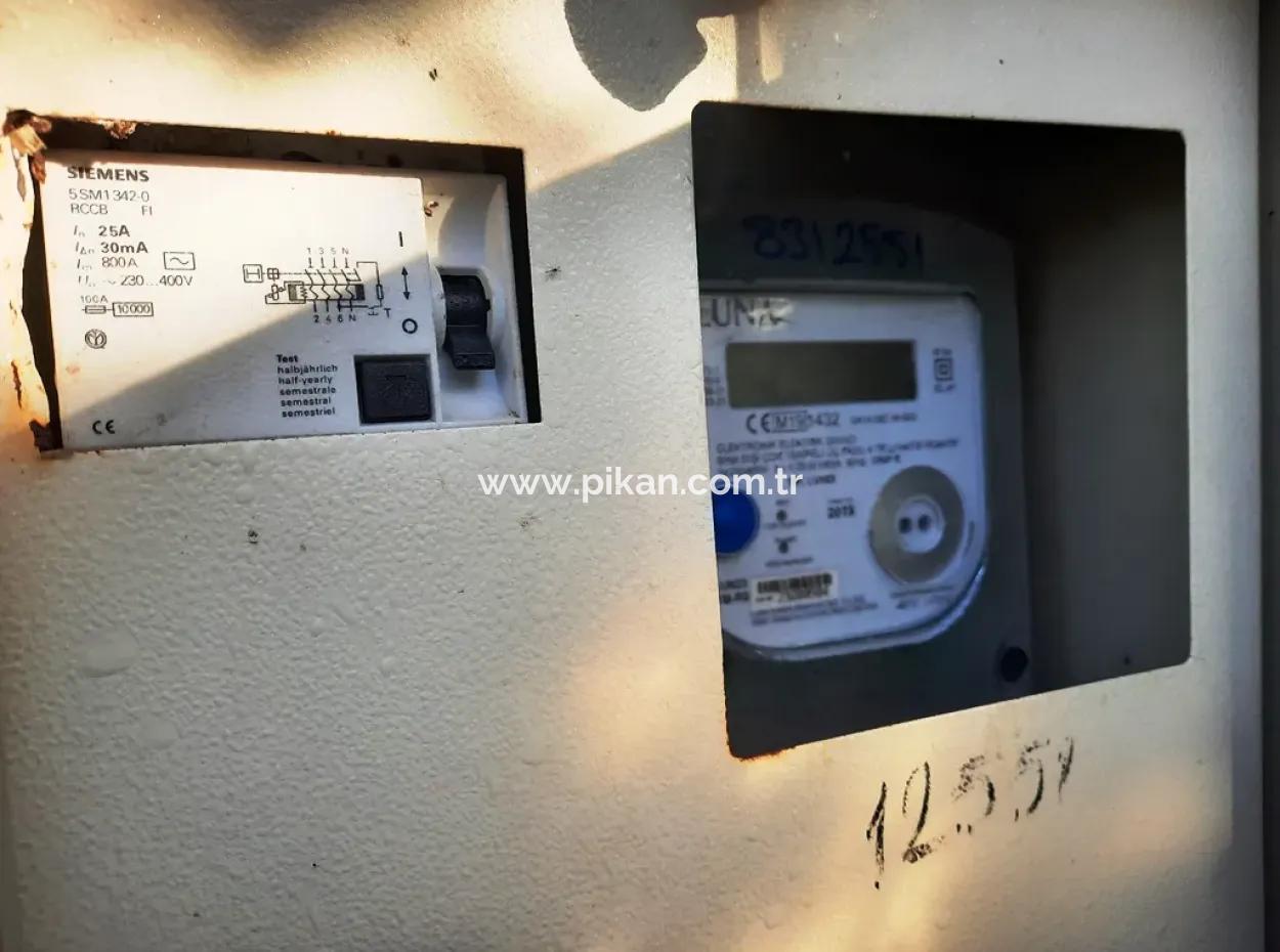 10 000 M2 Detached Lemon Garden For Sale In Ortaca Dalaklı