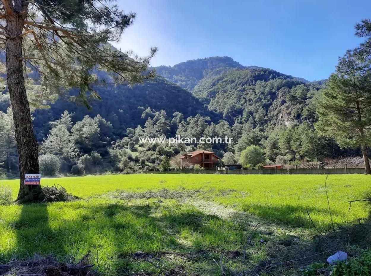 Mergenli For Sale In Ortaca Mountain Zero-Investment A Bargain Suitable Land