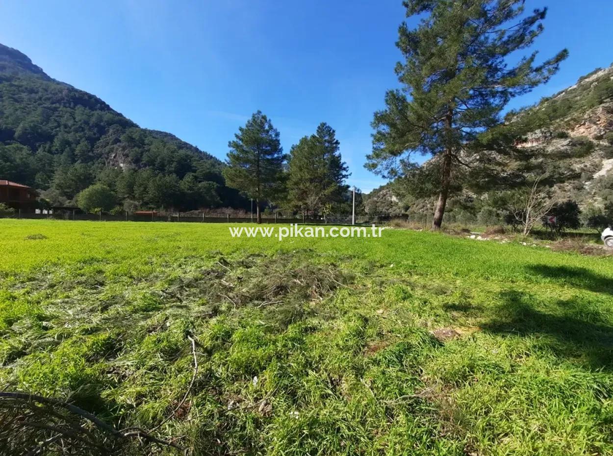 Mergenli For Sale In Ortaca Mountain Zero-Investment A Bargain Suitable Land