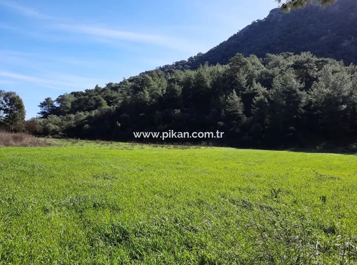 Mergenli For Sale In Ortaca Mountain Zero-Investment A Bargain Suitable Land
