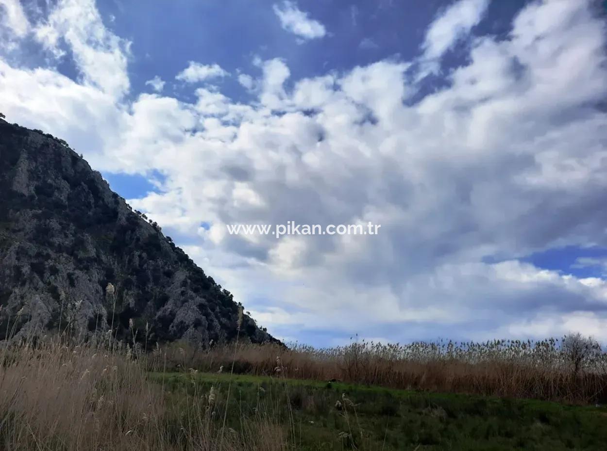 Opportunity Bargain Land Suitable For 9,000 M2 Investment For Sale In Dalyan