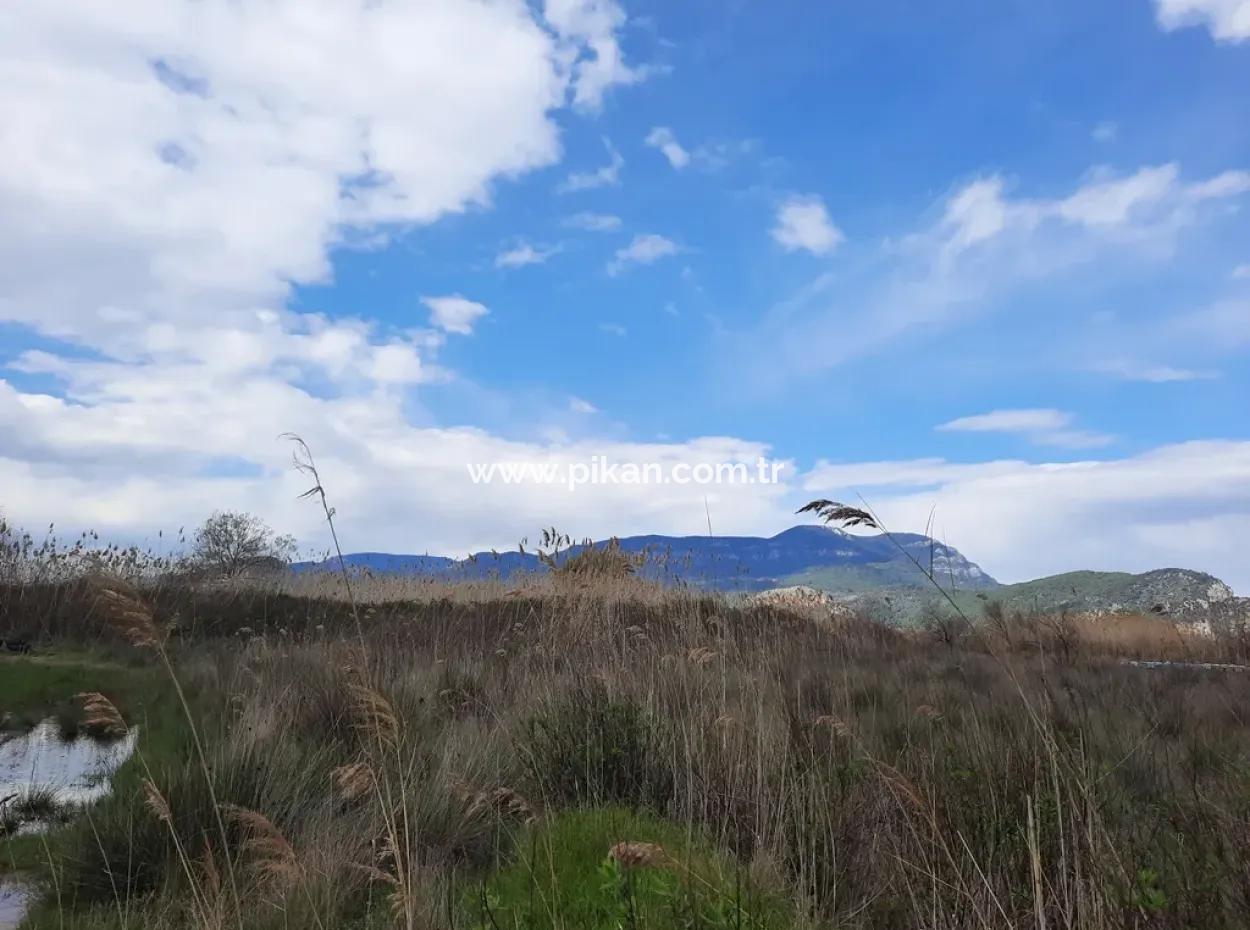 Opportunity Bargain Land Suitable For 9,000 M2 Investment For Sale In Dalyan