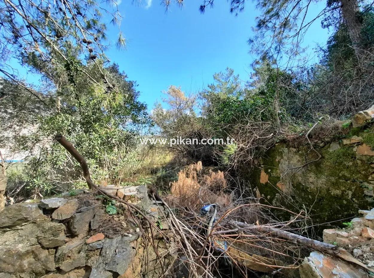 Ruined Stone Village House For Sale In Gökova And Its Land