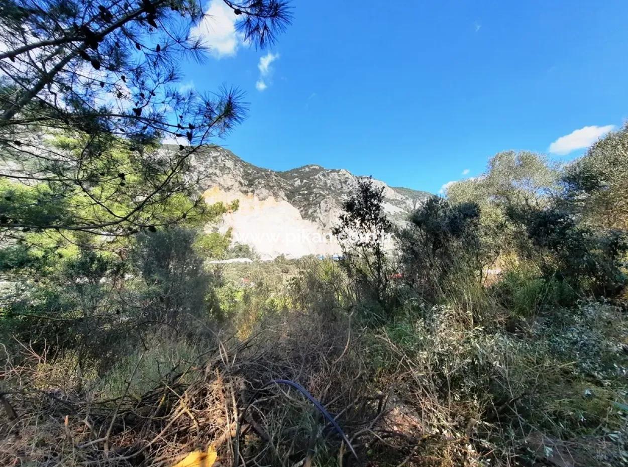 Ruined Stone Village House For Sale In Gökova And Its Land