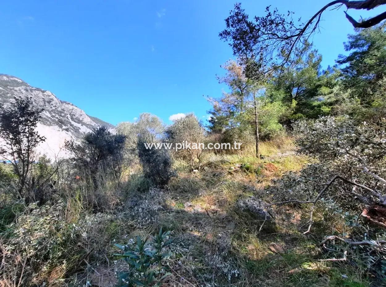 Ruined Stone Village House For Sale In Gökova And Its Land