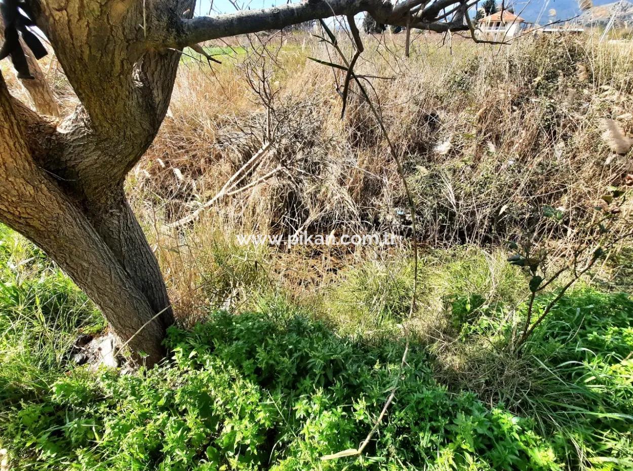 Mugla Dalyan 3500 M2 Land 120 M2 Single Storey Detached House For Sale