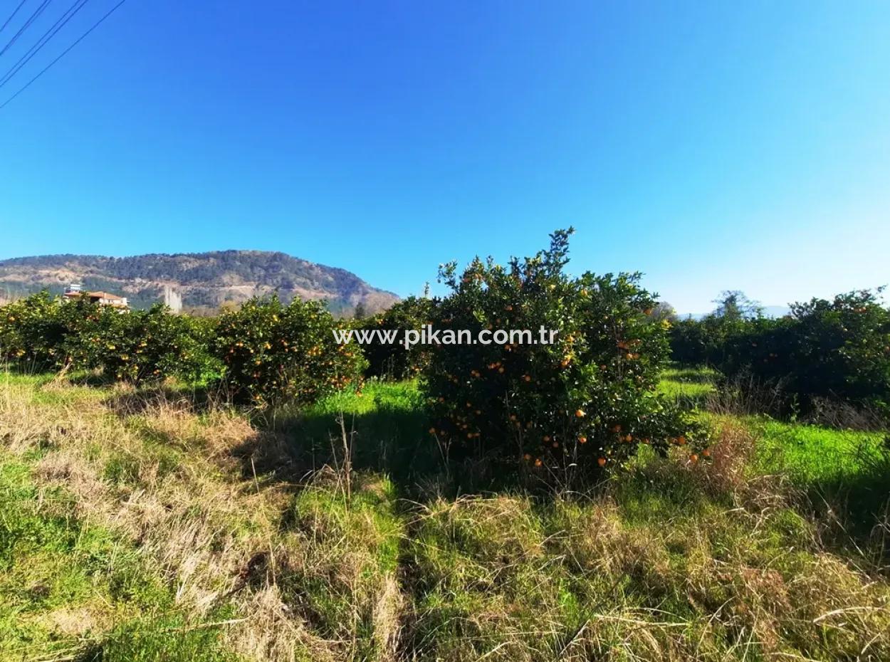 Mugla Archers Have 250 M2 Construction Rights For Sale On 1038 Plots
