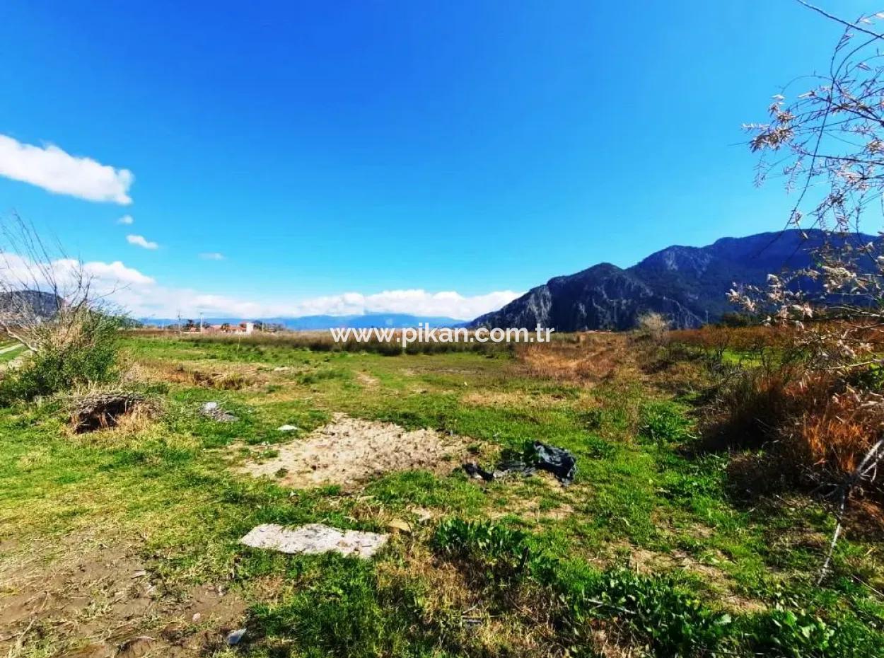 4830 M2 Land Near The Iztuzu Beach Road For Sale In Mugla Dalyan