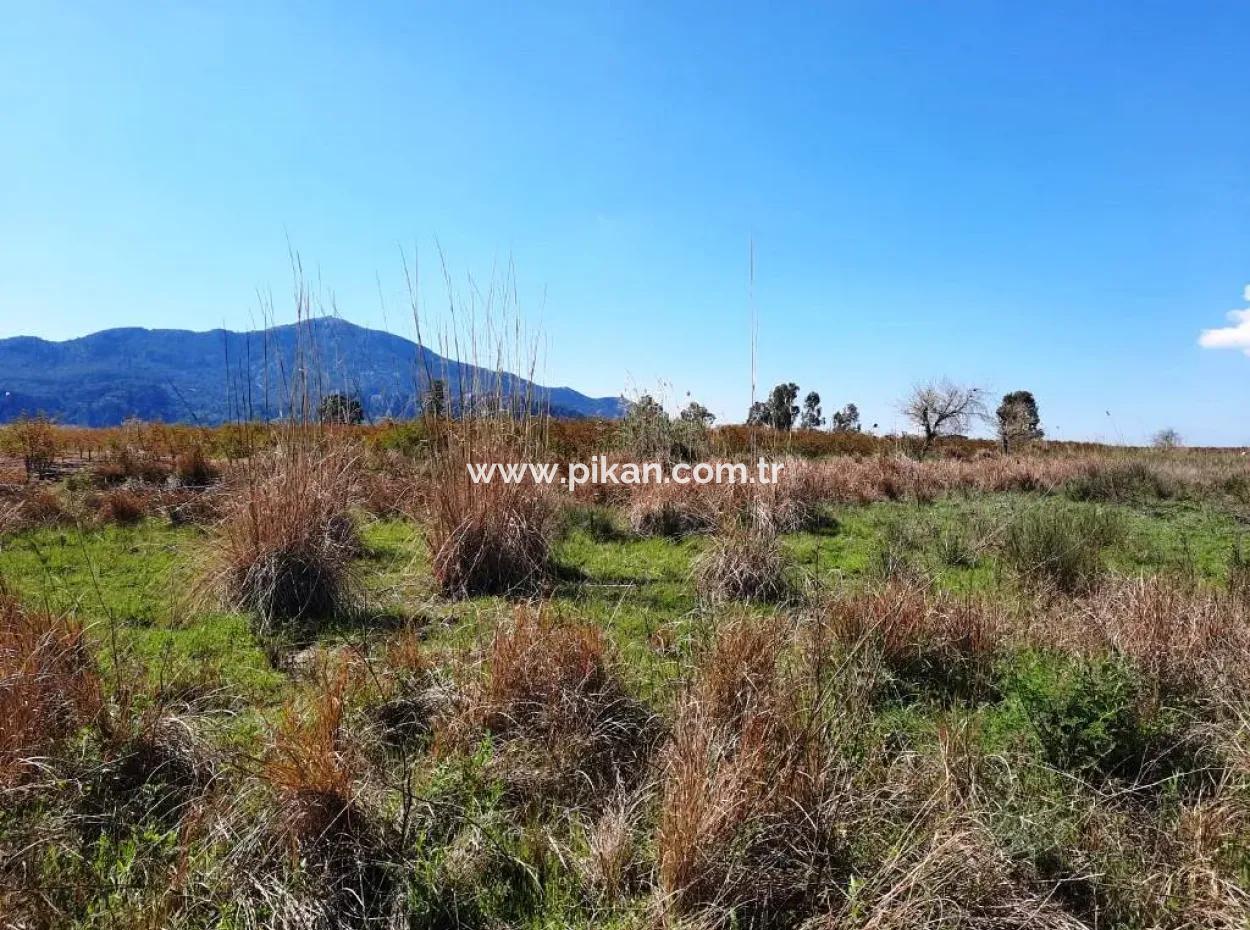 4830 M2 Land Near The Iztuzu Beach Road For Sale In Mugla Dalyan