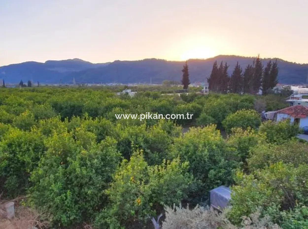 Luxury 3 1 Apartment With Swimming Pool For Sale In Ortaca Arikbasi