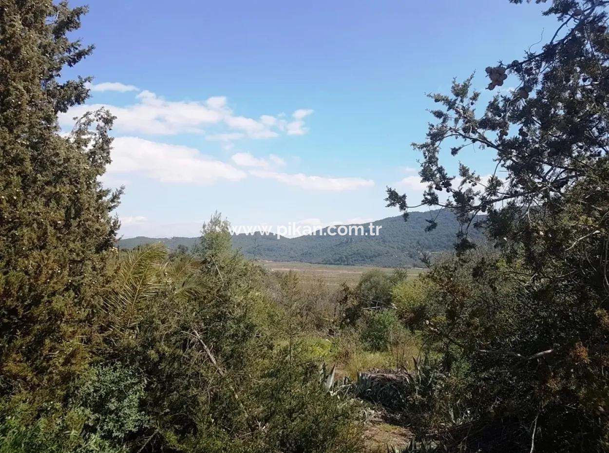 Excellent Plot For Sale Bargain, 2616 M2 Detached Parcels 6