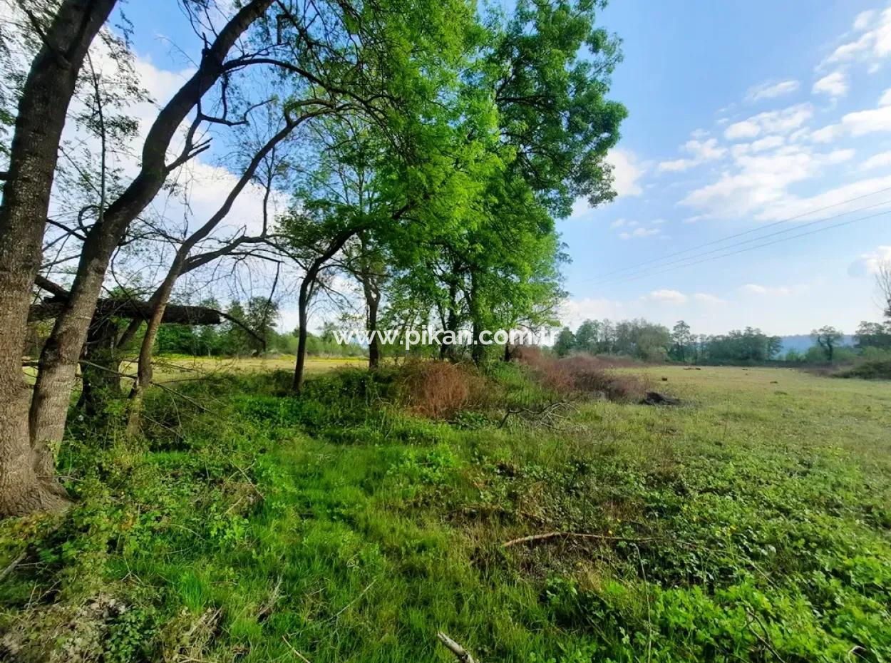 7668 M2 Bargain Land With Lake View For Sale In Köyceğiz Zeytinalani