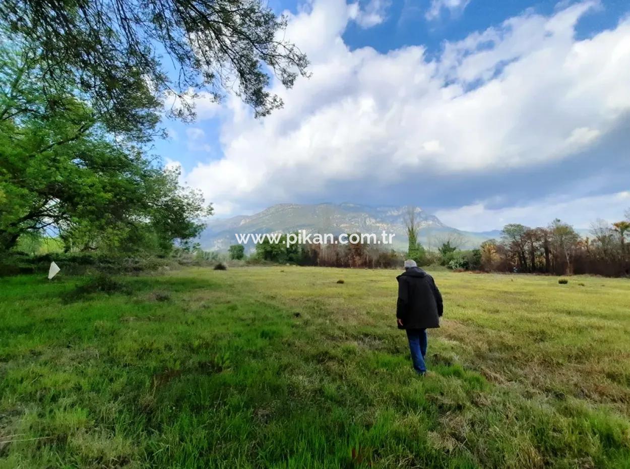 7668 M2 Bargain Land With Lake View For Sale In Köyceğiz Zeytinalani