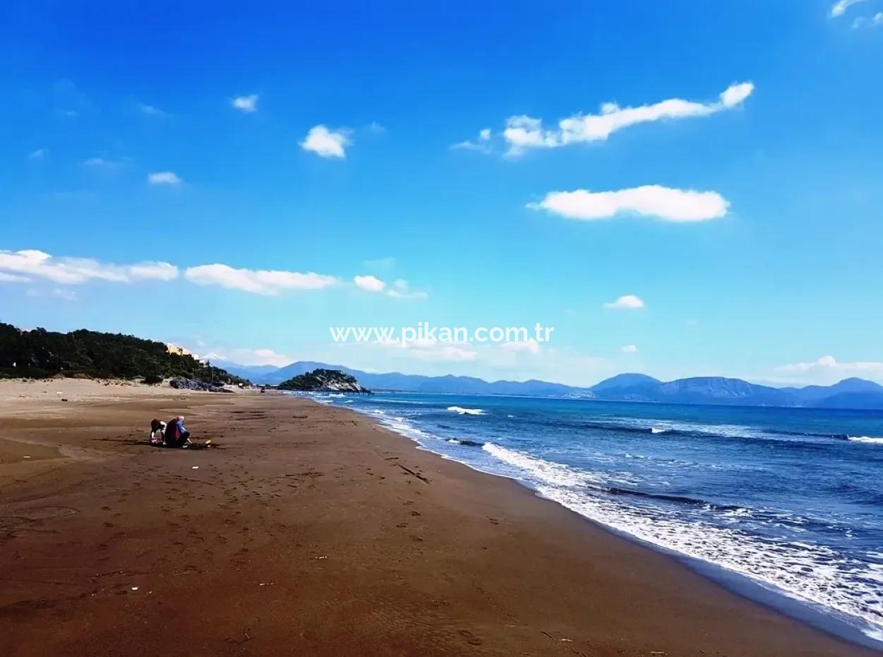 Excellent Plot For Sale Bargain, 2616 M2 Detached Parcels 6