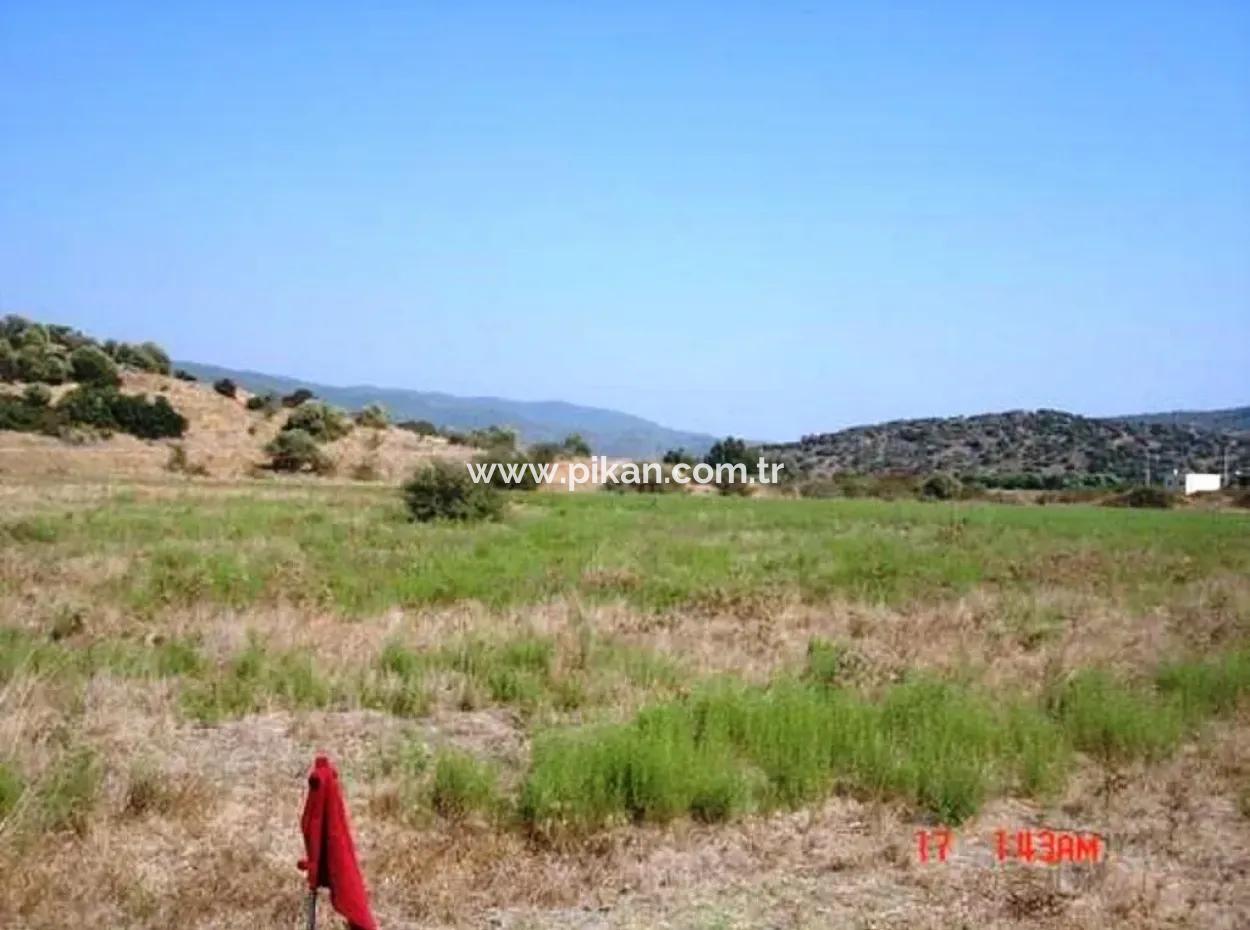 Mugla Milas Farm 10 000 M2 Land For Immediate Sale