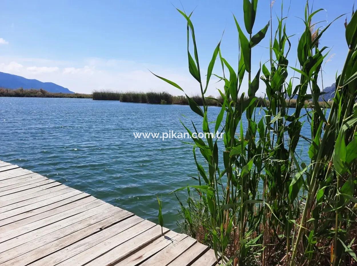 Mugla Dalyan Pomegranate Garden Suitable For Zero Investment In The Canal For Sale