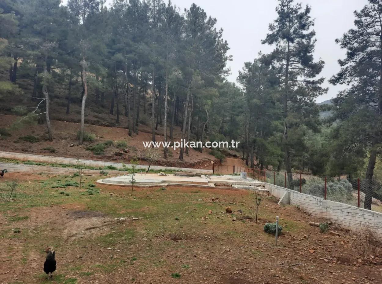 Köyceğinz Agla Yayla Opportunity 1050 M2 Zoning Land For Sale