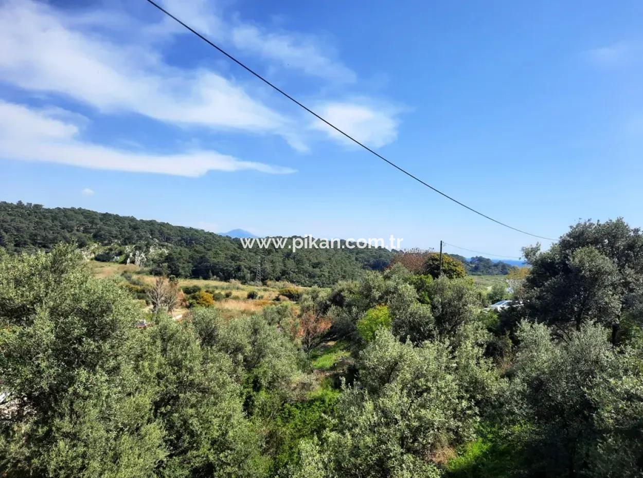 2 Parcels Of Land With 768 M2 Residential Development For Sale In Ortaca Sarıgerme