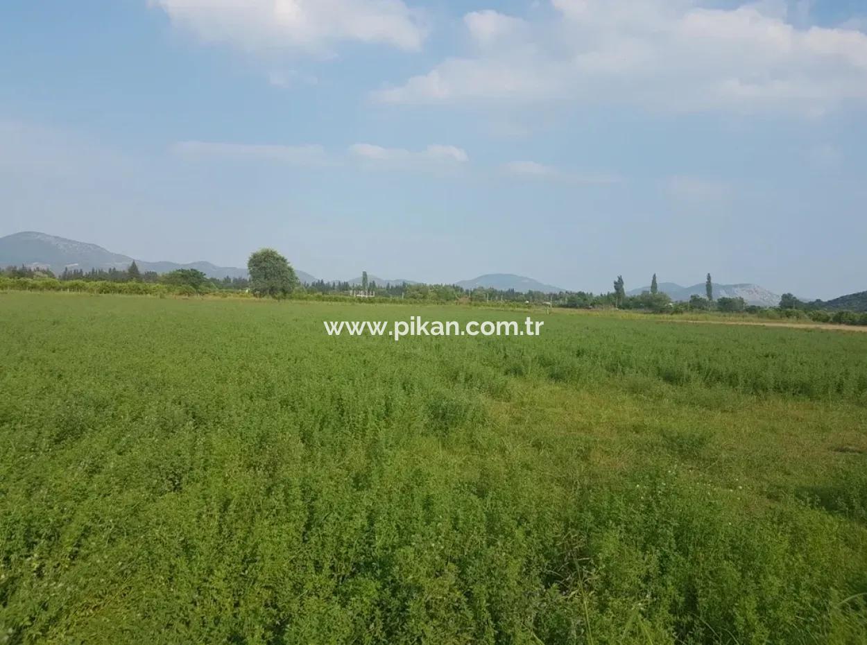 3700 M2 Fertile Field For Sale In Ortaca Fevziye