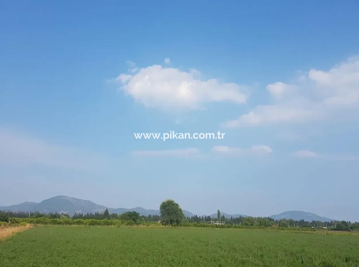 3700 M2 Fertile Field For Sale In Ortaca Fevziye
