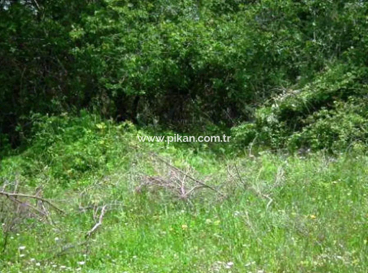 Oriya Fevziye For Sale Bargain Land, Suitable For Investment, 1500 M2