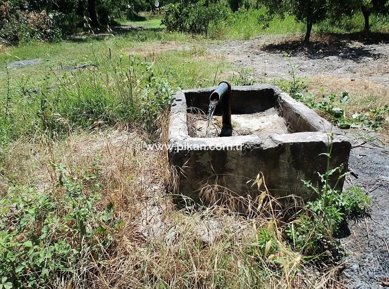 Detached Title Deed Close To The Lake In Köyceğiz 2 650 M2 Citrus Garden For Sale Or Exchange