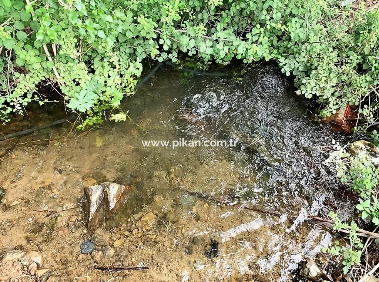 Tea Edge 10345 M2 Land And Detached House For Sale In Ortaca Çaylı Pine Forest