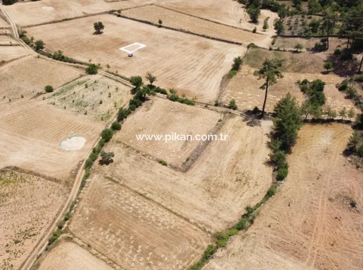 Mugla Menteşe Denizova 1869 M2 Bargain Field For Sale