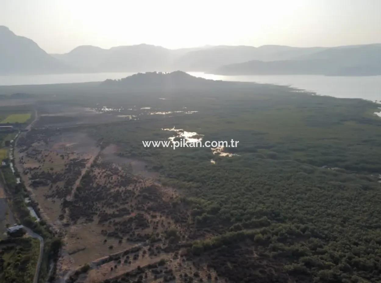 Pomegranate Garden For Sale In Mugla Ortaca Tepearasi