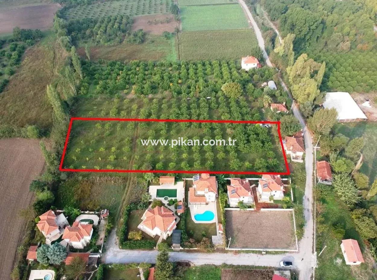 Muğla Okçular Marmarlıda 4.000M2 Zoning Plan Land Suitable For Investment For Sale