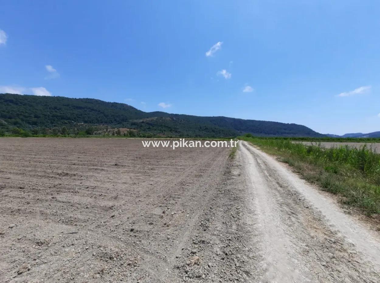 Fertile Land For Rent In Ortaca Güzelyurt