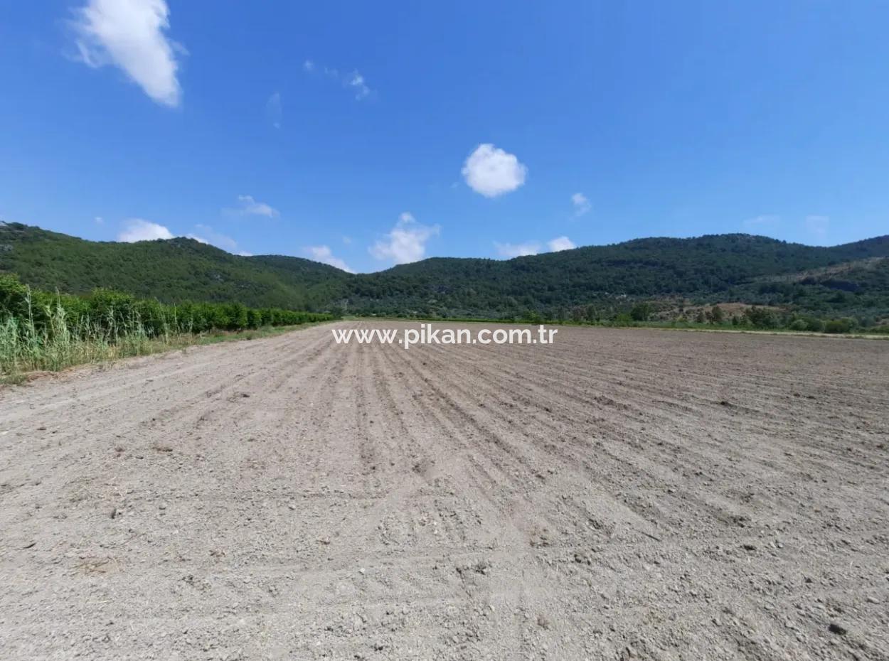 Fertile Land For Rent In Ortaca Güzelyurt