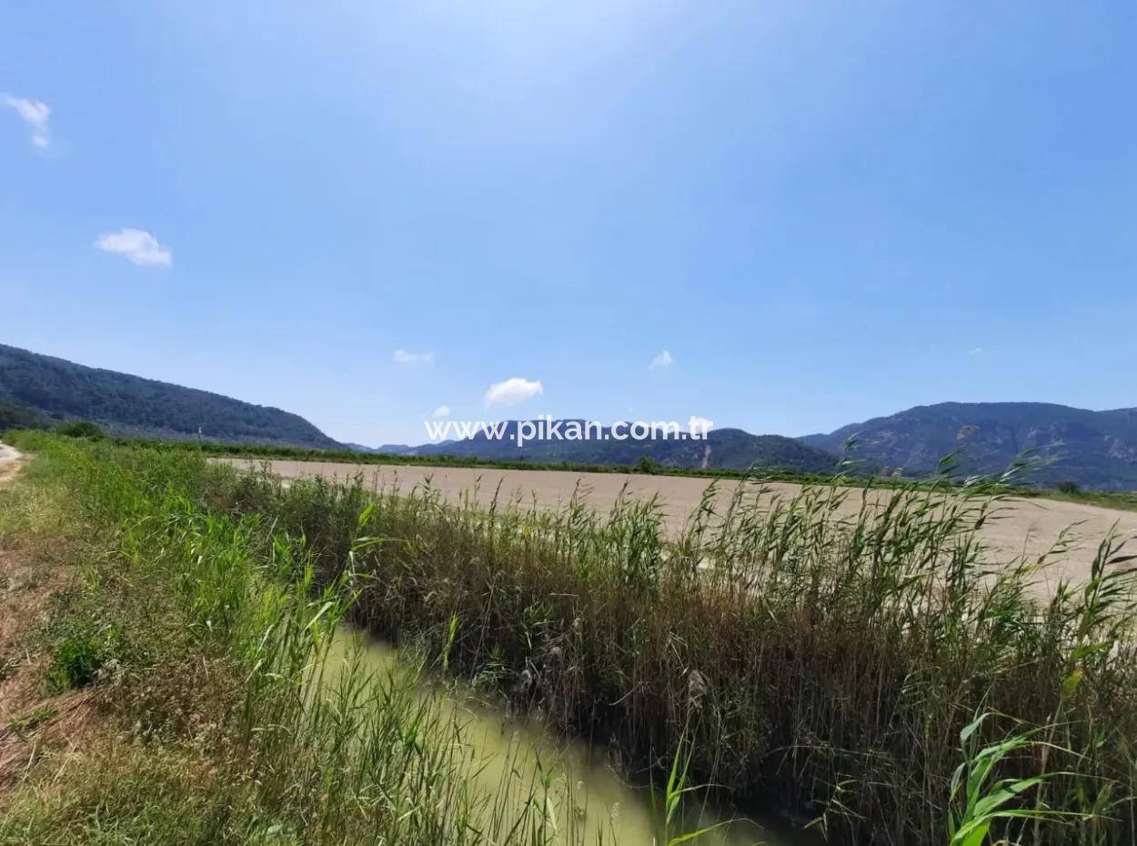 Fertile Land For Rent In Ortaca Güzelyurt