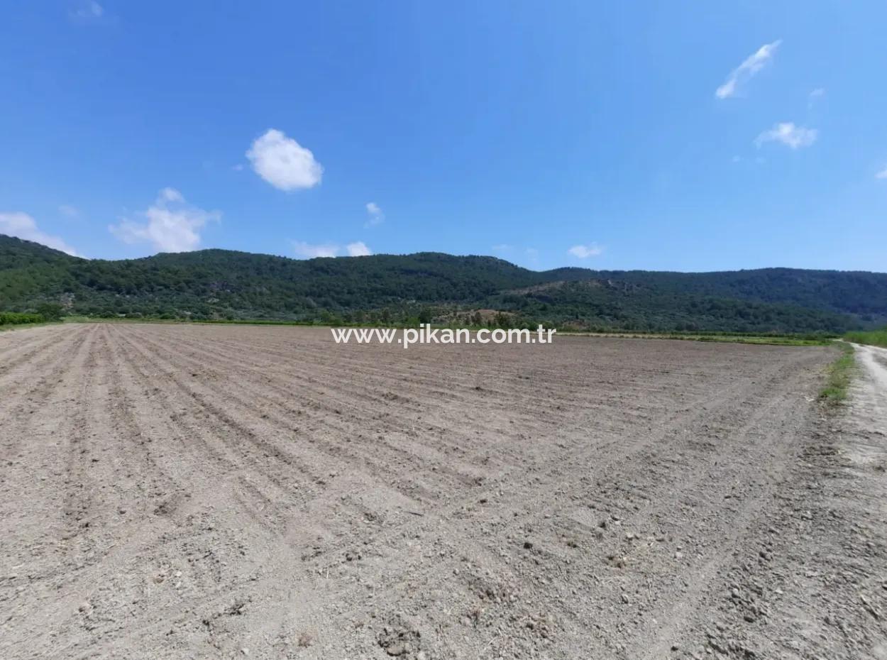 Fertile Land For Rent In Ortaca Güzelyurt