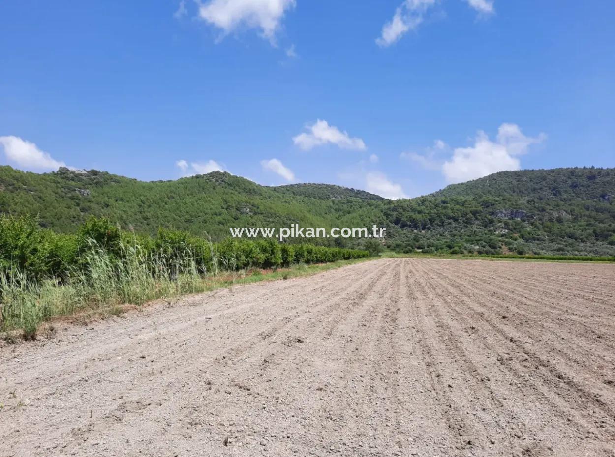 Fertile Land For Rent In Ortaca Güzelyurt
