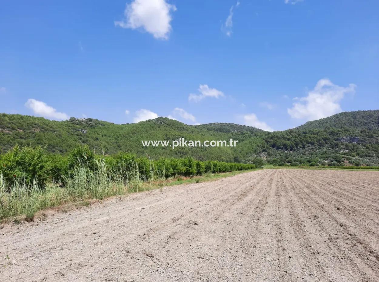 Fertile Land For Rent In Ortaca Güzelyurt