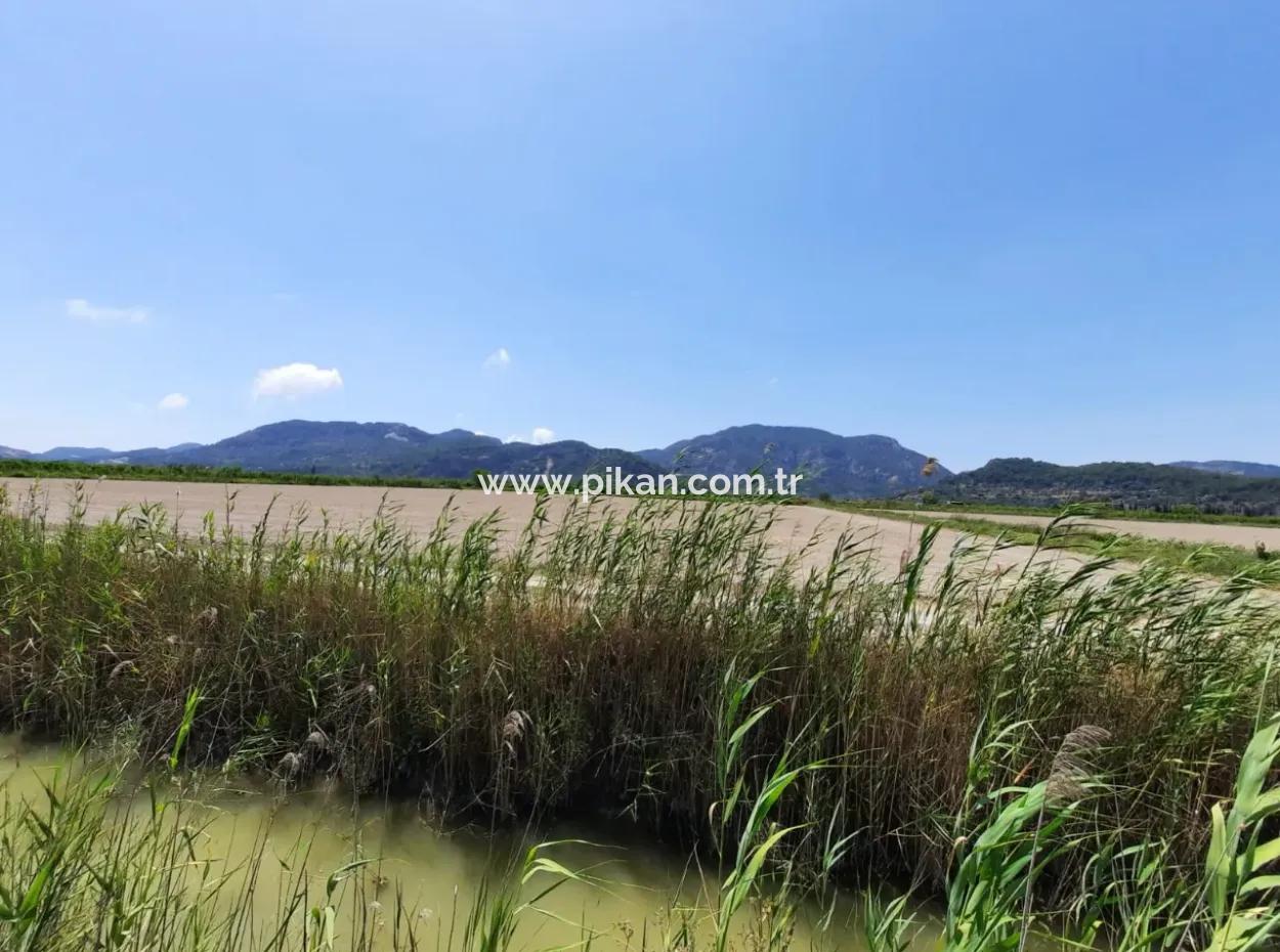 Fertile Land For Rent In Ortaca Güzelyurt