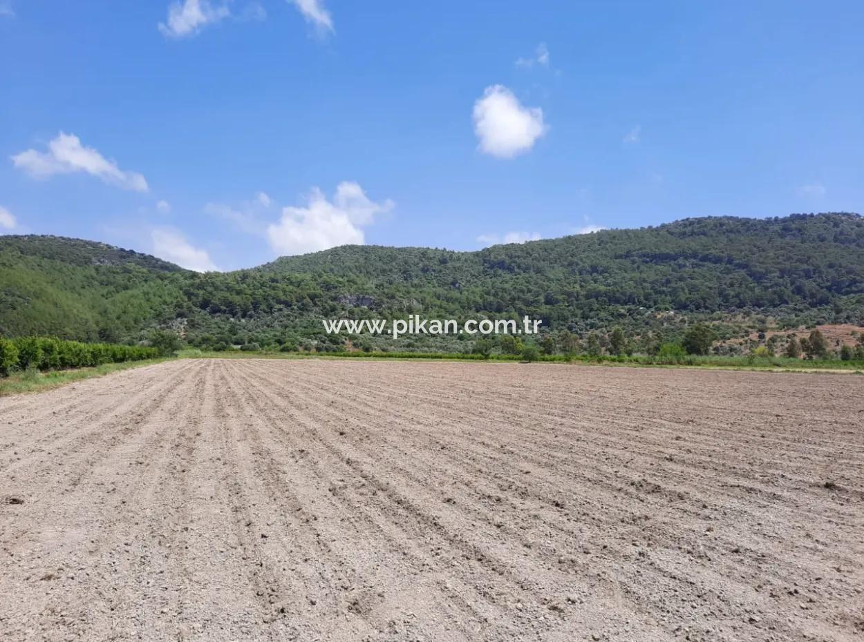 Fertile Land For Rent In Ortaca Güzelyurt