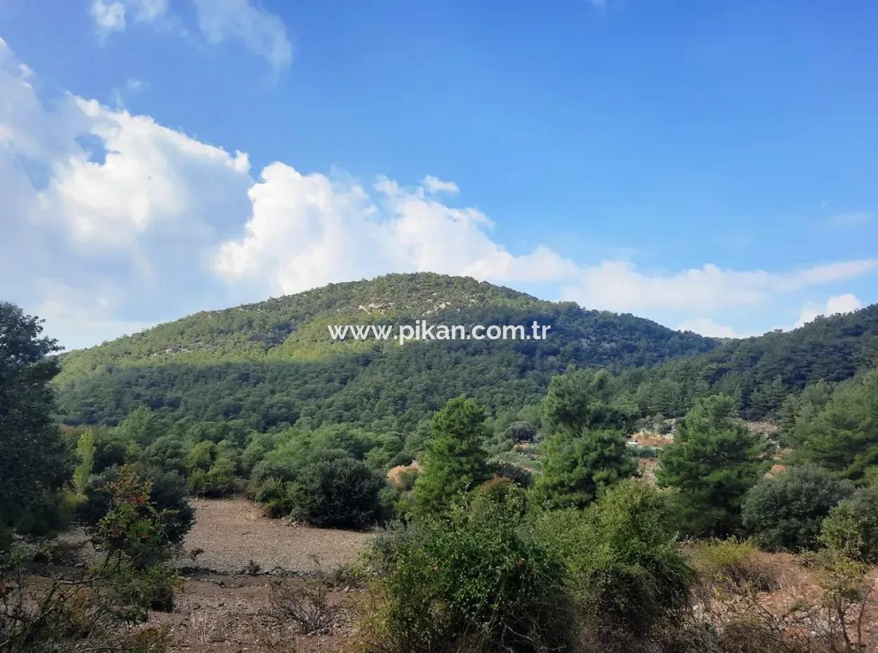 Mugla Dalyan Gökbel 320 M2 Bargain Land For Sale