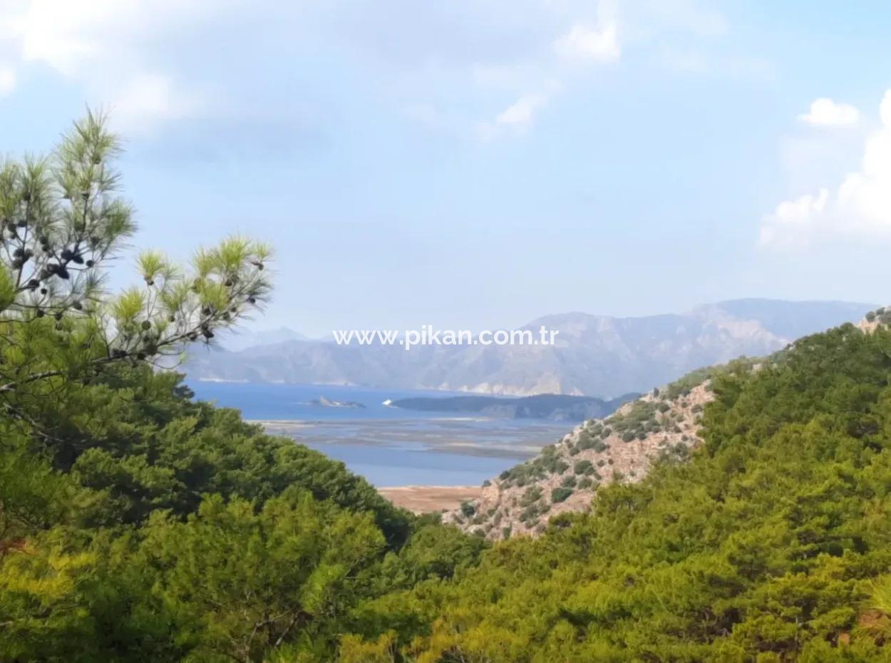 Mugla Dalyan Gökbel 320 M2 Bargain Land For Sale