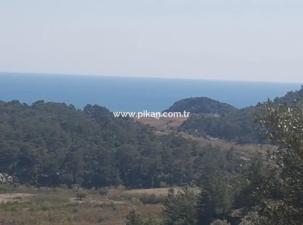 Plot With Sea Views For Sale Bargain Ortaca Sarıgerme