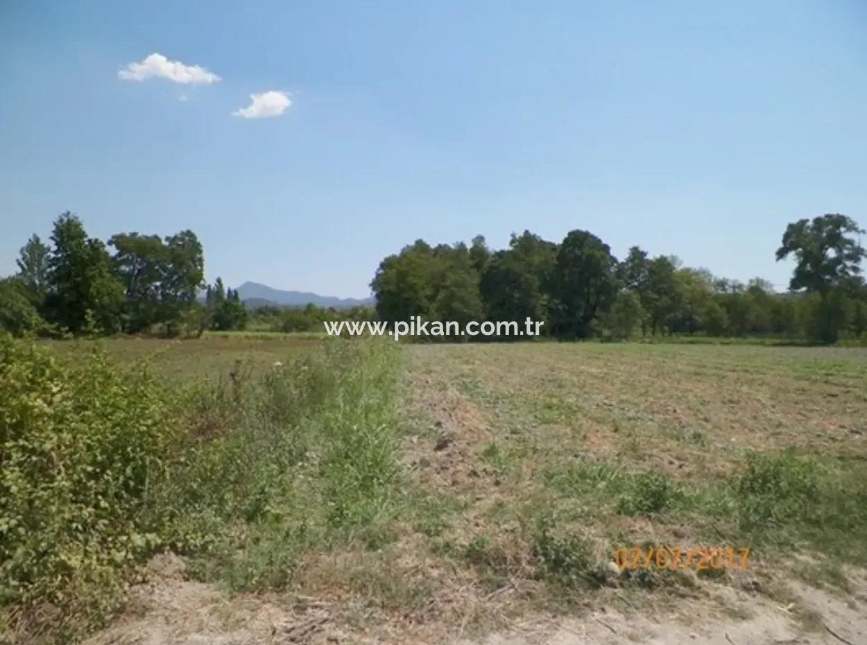 Big Land For Sale In Koycegiz Lake Also Inflammation Zero