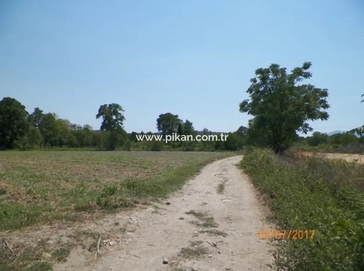 Big Land For Sale In Koycegiz Lake Also Inflammation Zero