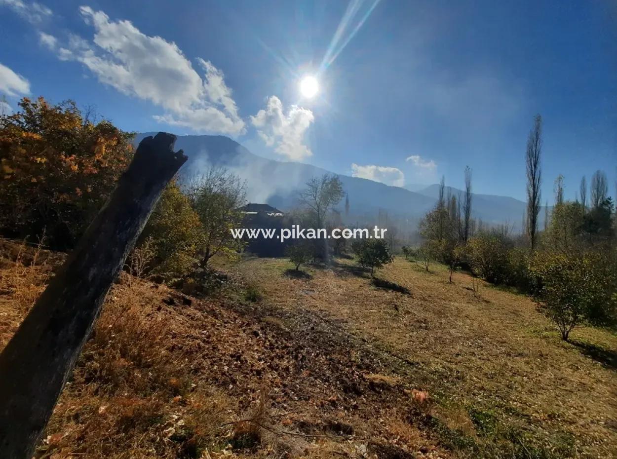 Çameli Cevizli Bargain Barn And 2650 M2 Land For Sale
