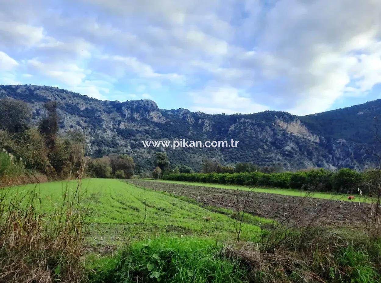 Mugla Dalyan 1100 M2 Land With Bargain Shares Suitable For Investment For Sale