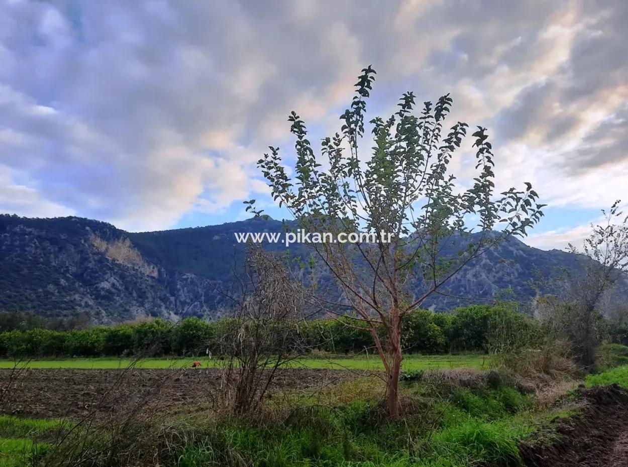 Mugla Dalyan 1100 M2 Land With Bargain Shares Suitable For Investment For Sale