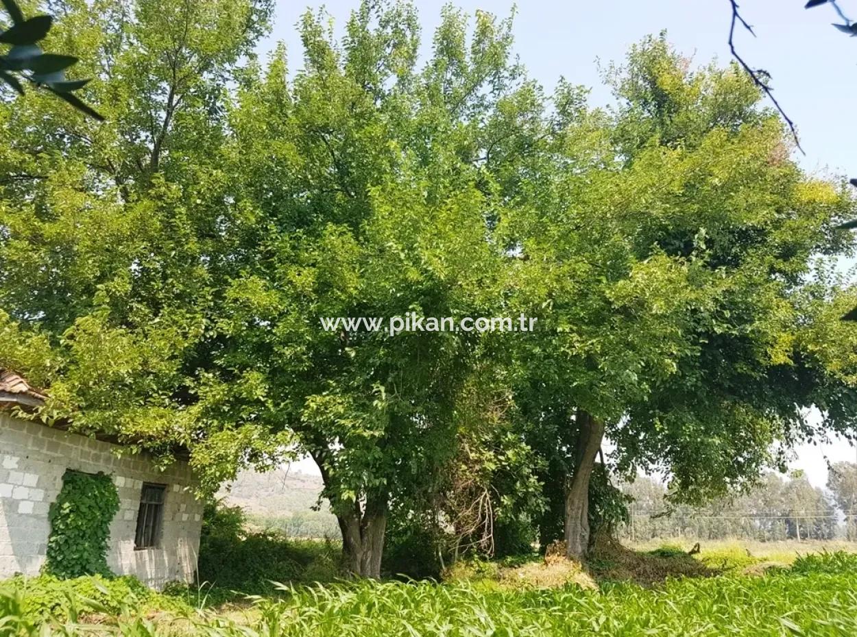 Dalaman Cheap Land For Sale In Investment, Appropriate Land
