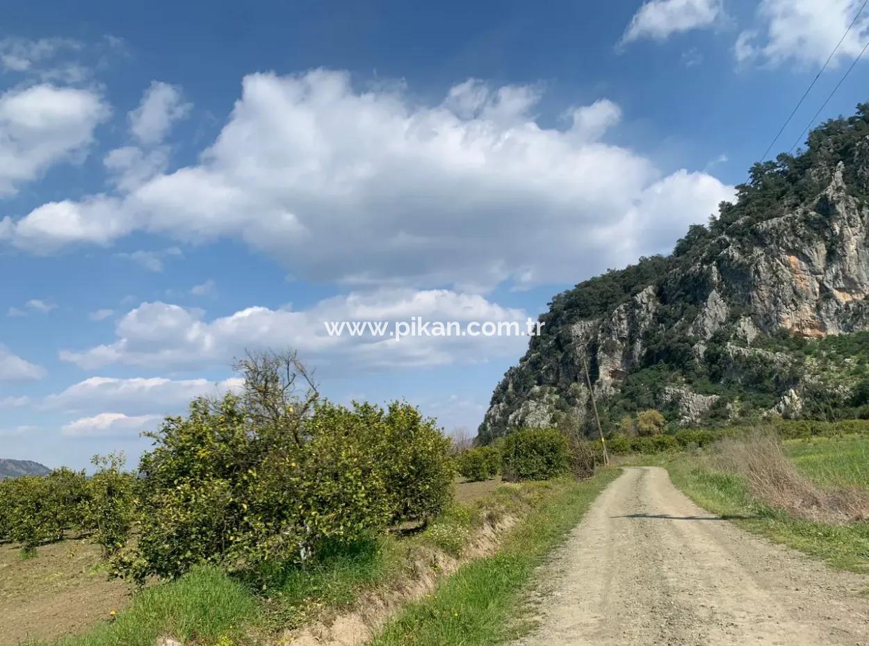Mugla Dalyan Marmarlı 1500 M2 Land For Sale